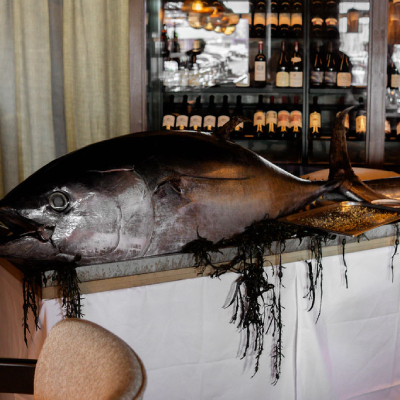 Tuna Show Lemongrass